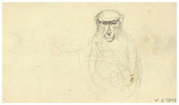 Visualizza l'immagine "FD D 1914 v."